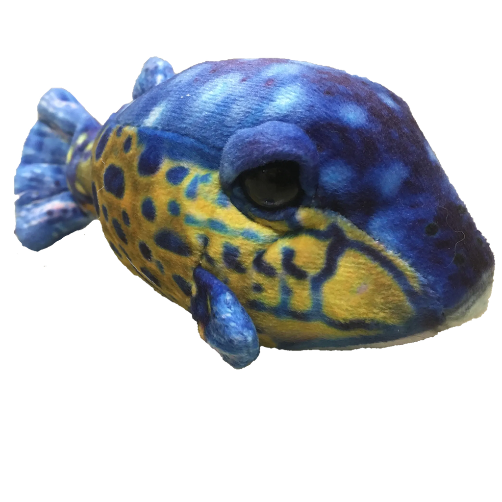 Small Box Fish 6" Aquatic Plush Blue Stuffed Animal
