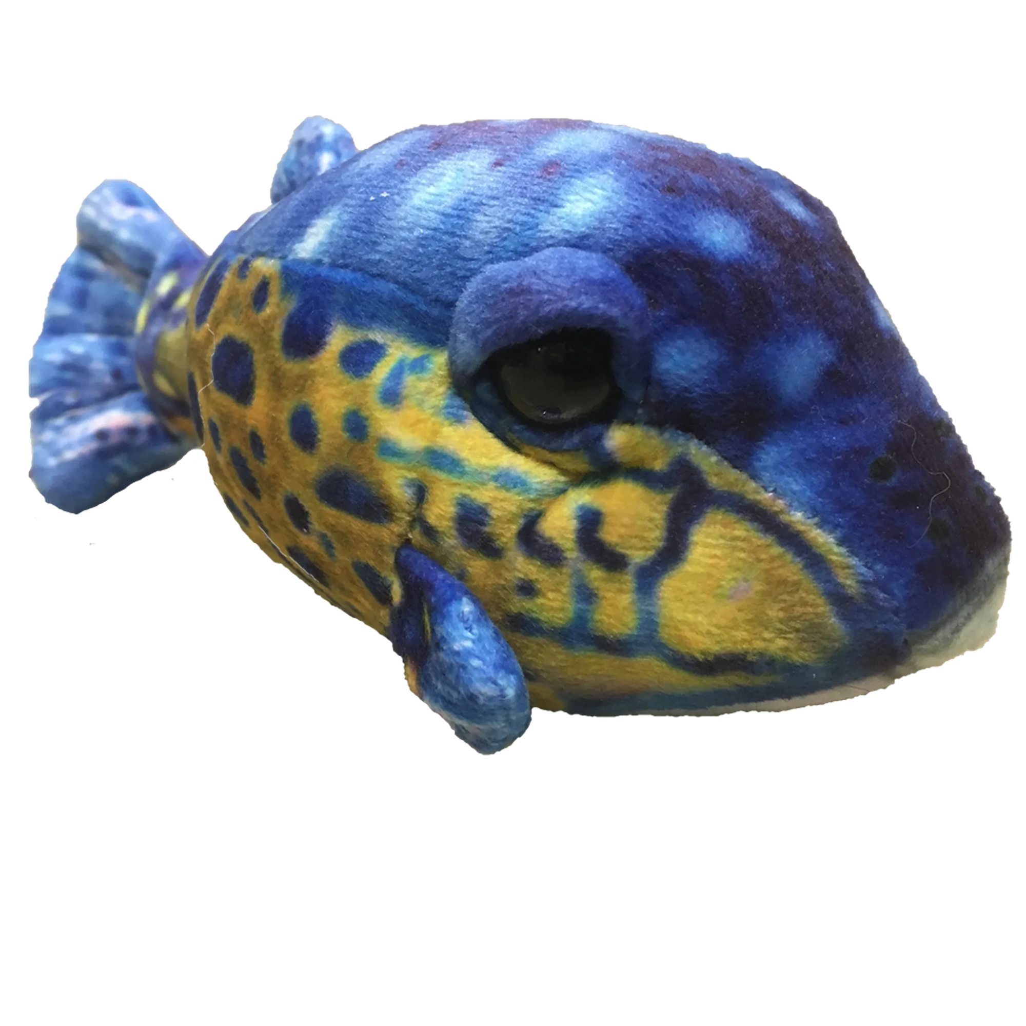 Small Box Fish 6" Aquatic Plush Blue Stuffed Animal