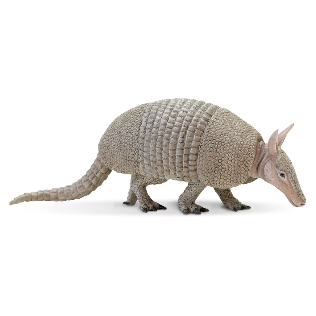 Armadillo