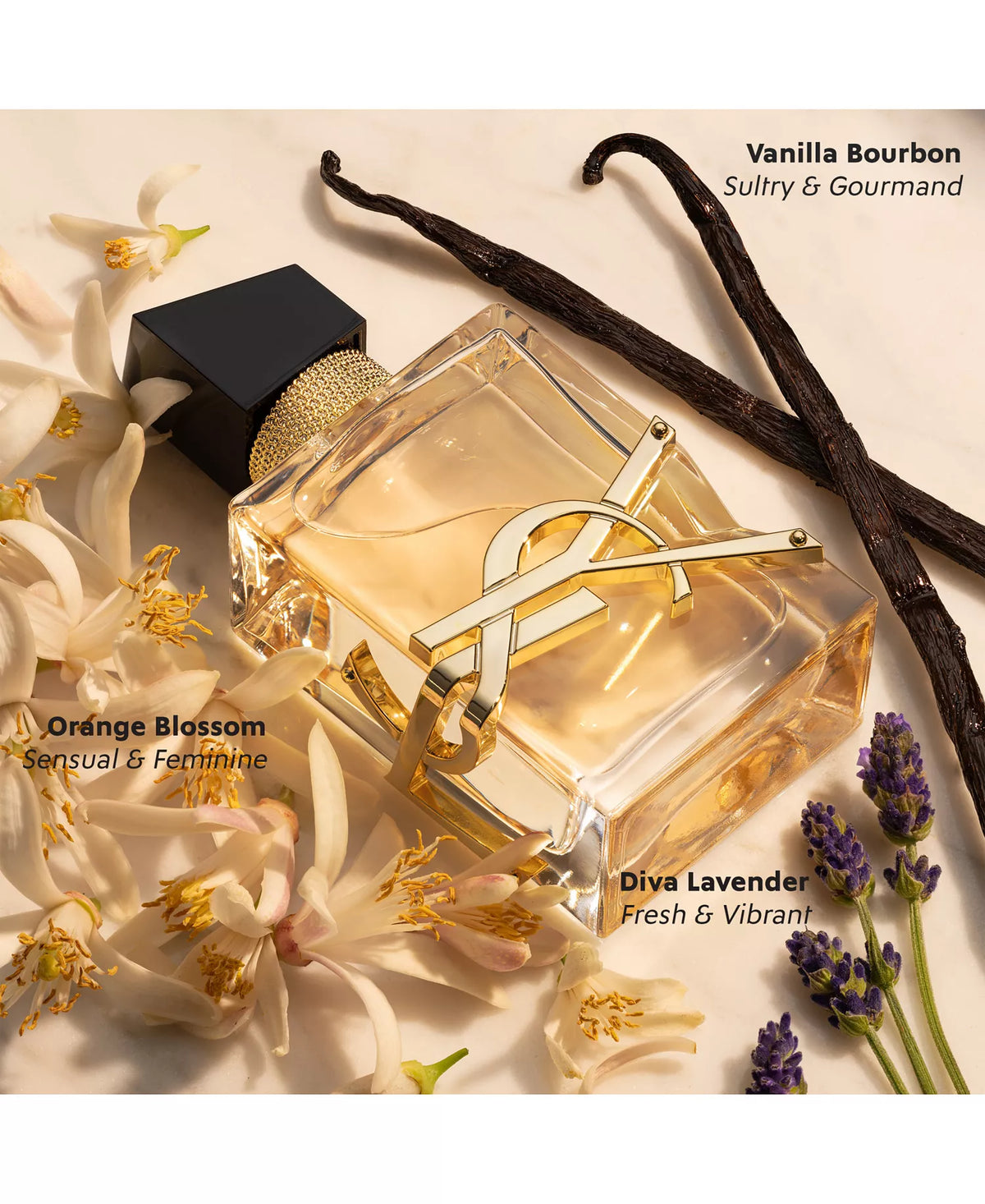 Libre Eau de Parfum Spray, 3-oz.